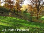Survival pobyt pod Kykulou