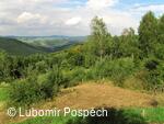 Survival pobyt pod Kykulou