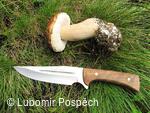 Survival pobyt pod Kykulou