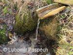 Survival v biologické rezervaci pod Kykulou