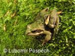 Survival v biologické rezervaci pod Kykulou